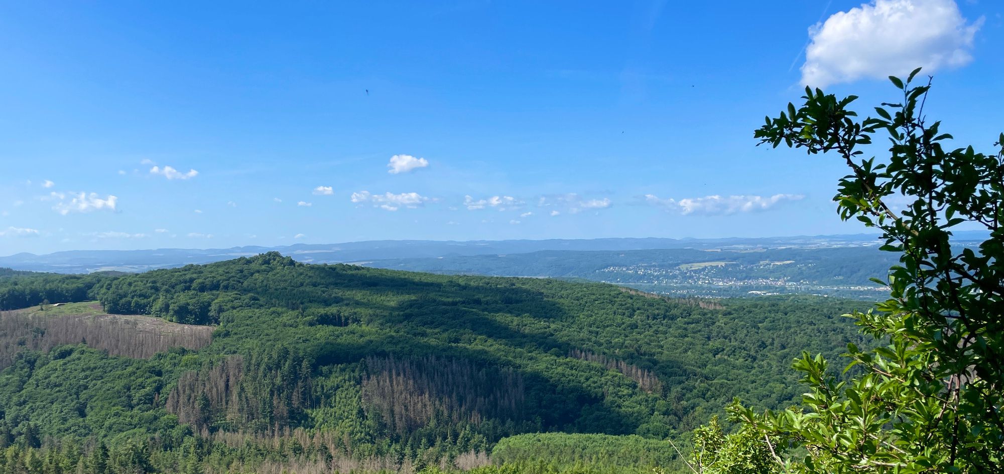 Panoramablick vom Himmerich